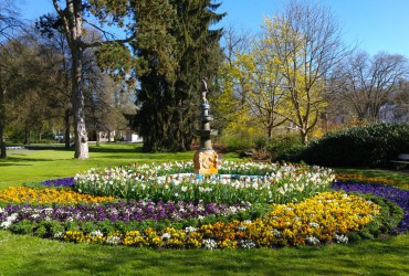 Bad Salzschlirf und Umgebung
