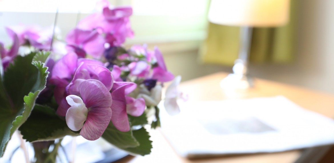 Ihr Aufenthalt bei Tomesa